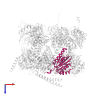 Proteasome subunit alpha type-5 in PDB entry 7nht, assembly 1, top view.