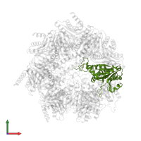 Proteasome subunit alpha type-1 in PDB entry 7nht, assembly 1, front view.