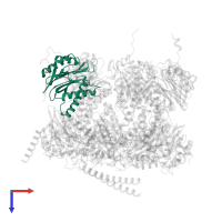 Proteasome subunit beta type-3 in PDB entry 7nht, assembly 1, top view.