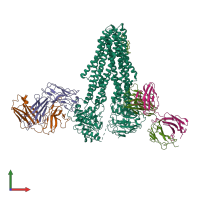 PDB entry 7niu coloured by chain, front view.
