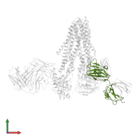 4B1 Fab-fragment heavy chain in PDB entry 7niu, assembly 1, front view.