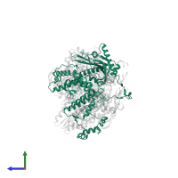 Polymerase acidic protein in PDB entry 7nj3, assembly 1, side view.