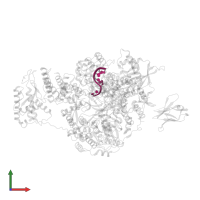 RNA (5'-R(P*GP*GP*CP*CP*UP*GP*CP*U)-3') in PDB entry 7nj3, assembly 1, front view.