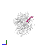 RNA (5'-R(P*GP*GP*CP*CP*UP*GP*CP*U)-3') in PDB entry 7nj3, assembly 1, side view.