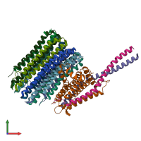 PDB entry 7njw coloured by chain, front view.