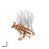 ATP synthase subunit a in PDB entry 7njy, assembly 1, side view.