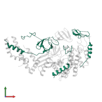 ATP synthase subunit alpha in PDB entry 7nkd, assembly 1, front view.