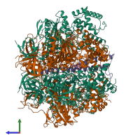 Hetero heptameric assembly 1 of PDB entry 7nkh coloured by chemically distinct molecules, side view.