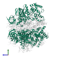 ATP synthase subunit alpha in PDB entry 7nkh, assembly 1, side view.