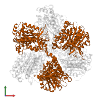 ATP synthase subunit beta in PDB entry 7nkh, assembly 1, front view.