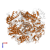 ATP synthase subunit beta in PDB entry 7nkh, assembly 1, top view.