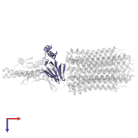 ATP synthase epsilon chain in PDB entry 7nkk, assembly 1, top view.