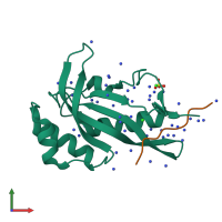 PDB entry 7nlc coloured by chain, front view.