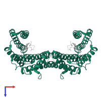 14-3-3 protein sigma in PDB entry 7nm9, assembly 1, top view.