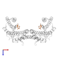 Transcription factor p65 in PDB entry 7nm9, assembly 1, top view.