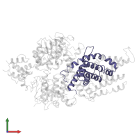 Conserved hypothetical membrane protein in PDB entry 7nnt, assembly 1, front view.