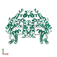 Nitric oxide synthase 3 in PDB entry 7nse, assembly 1, front view.