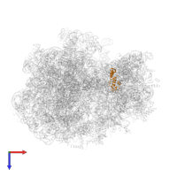 30S ribosomal protein S13 in PDB entry 7nso, assembly 1, top view.