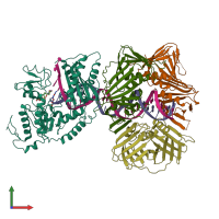 PDB entry 7nv0 coloured by chain, front view.