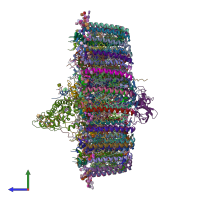 PDB entry 7o0v coloured by chain, side view.