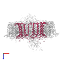 Antenna complex alpha/beta subunit domain-containing protein in PDB entry 7o0v, assembly 1, top view.