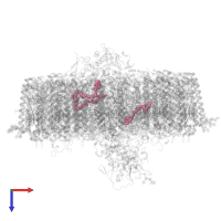 MENAQUINONE 8 in PDB entry 7o0v, assembly 1, top view.