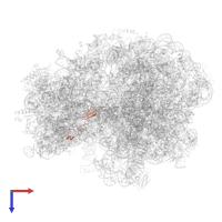 Large ribosomal subunit protein bL31 in PDB entry 7o1a, assembly 1, top view.