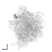 Large ribosomal subunit protein bL25 in PDB entry 7o1a, assembly 1, side view.