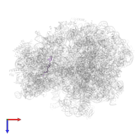 Messenger RNA in PDB entry 7o1a, assembly 1, top view.