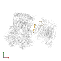 Cytochrome c oxidase subunit 6A2, mitochondrial in PDB entry 7o3c, assembly 1, front view.