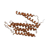 The deposited structure of PDB entry 7o3e contains 1 copy of Pfam domain PF00510 (Cytochrome c oxidase subunit III) in Cytochrome c oxidase subunit 3. Showing 1 copy in chain S [auth c].