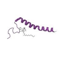 The deposited structure of PDB entry 7o3e contains 1 copy of Pfam domain PF02935 (Cytochrome c oxidase subunit VIIc) in Cytochrome c oxidase subunit 7C, mitochondrial. Showing 1 copy in chain AA [auth l].