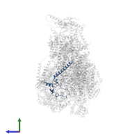 Cox7a2l protein in PDB entry 7o3e, assembly 1, side view.