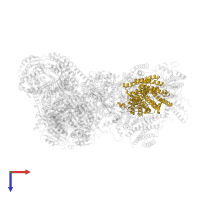 Cytochrome c oxidase subunit 1 in PDB entry 7o3e, assembly 1, top view.