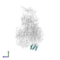 Cytochrome c oxidase subunit 5A, mitochondrial in PDB entry 7o3e, assembly 1, side view.