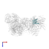 Cytochrome c oxidase subunit 5A, mitochondrial in PDB entry 7o3e, assembly 1, top view.