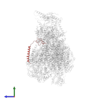 Cytochrome c oxidase subunit 6A2, mitochondrial in PDB entry 7o3e, assembly 1, side view.