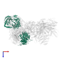 Cytochrome b-c1 complex subunit 1, mitochondrial in PDB entry 7o3e, assembly 1, top view.