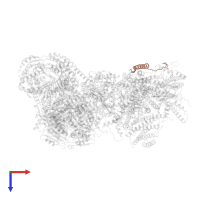 Cytochrome c oxidase subunit 7B, mitochondrial in PDB entry 7o3e, assembly 1, top view.