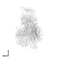 Cytochrome c oxidase subunit 8B, mitochondrial in PDB entry 7o3e, assembly 1, side view.