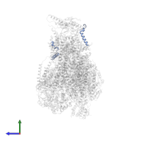 Cytochrome b-c1 complex subunit 9 in PDB entry 7o3e, assembly 1, side view.