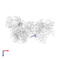 Cytochrome b-c1 complex subunit 9 in PDB entry 7o3e, assembly 1, top view.