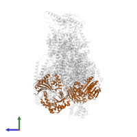 Cytochrome b-c1 complex subunit 2, mitochondrial in PDB entry 7o3e, assembly 1, side view.