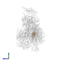 HEME-A in PDB entry 7o3e, assembly 1, side view.