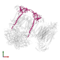 Cytochrome c1, heme protein, mitochondrial in PDB entry 7o3e, assembly 1, front view.