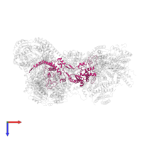 Cytochrome c1, heme protein, mitochondrial in PDB entry 7o3e, assembly 1, top view.