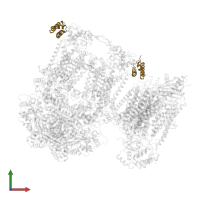 Cytochrome b-c1 complex subunit 6, mitochondrial in PDB entry 7o3e, assembly 1, front view.