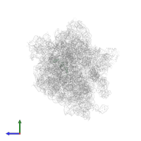 Large ribosomal subunit protein uL24 in PDB entry 7o5b, assembly 1, side view.