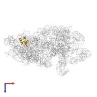 Small ribosomal subunit protein bS16 in PDB entry 7o5h, assembly 1, top view.