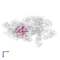 Small ribosomal subunit protein uS4 in PDB entry 7o5h, assembly 1, top view.